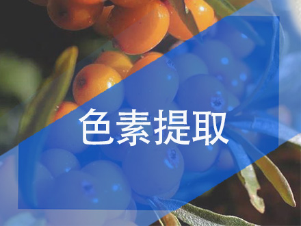 色素提取树脂