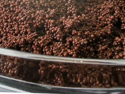 VOCs Adsorbent