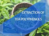 Tea polyphenols, chlorogenic acid extraction resin