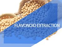Plant flavonoid extraction resin