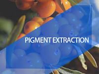 Pigment extraction resin