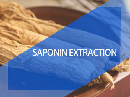 Plant saponin extraction resin