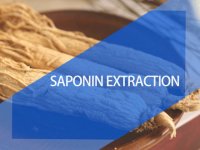 Plant saponin extraction resin