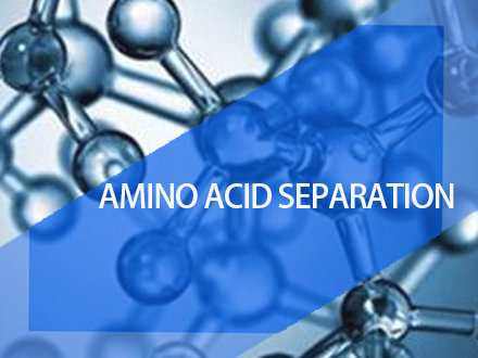 Adsorption separation of amino acids