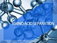 Adsorption separation of amino acids