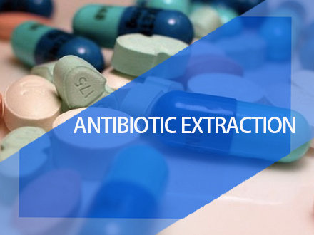 Purification of antibiotics
