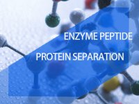 Adsorption and separation of enzymes, peptides and proteins